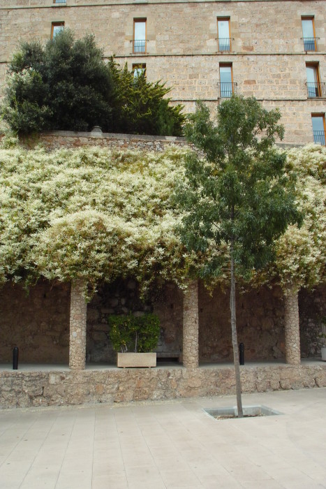 Kloster Montserrat